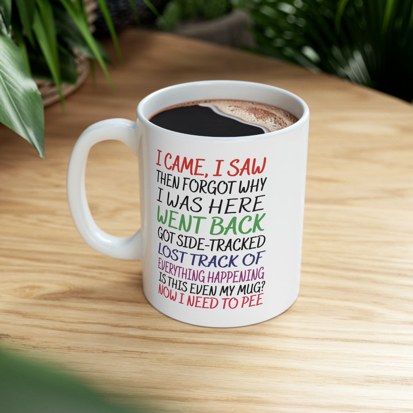 Funny Mother's Day Mug - I Came, I Saw