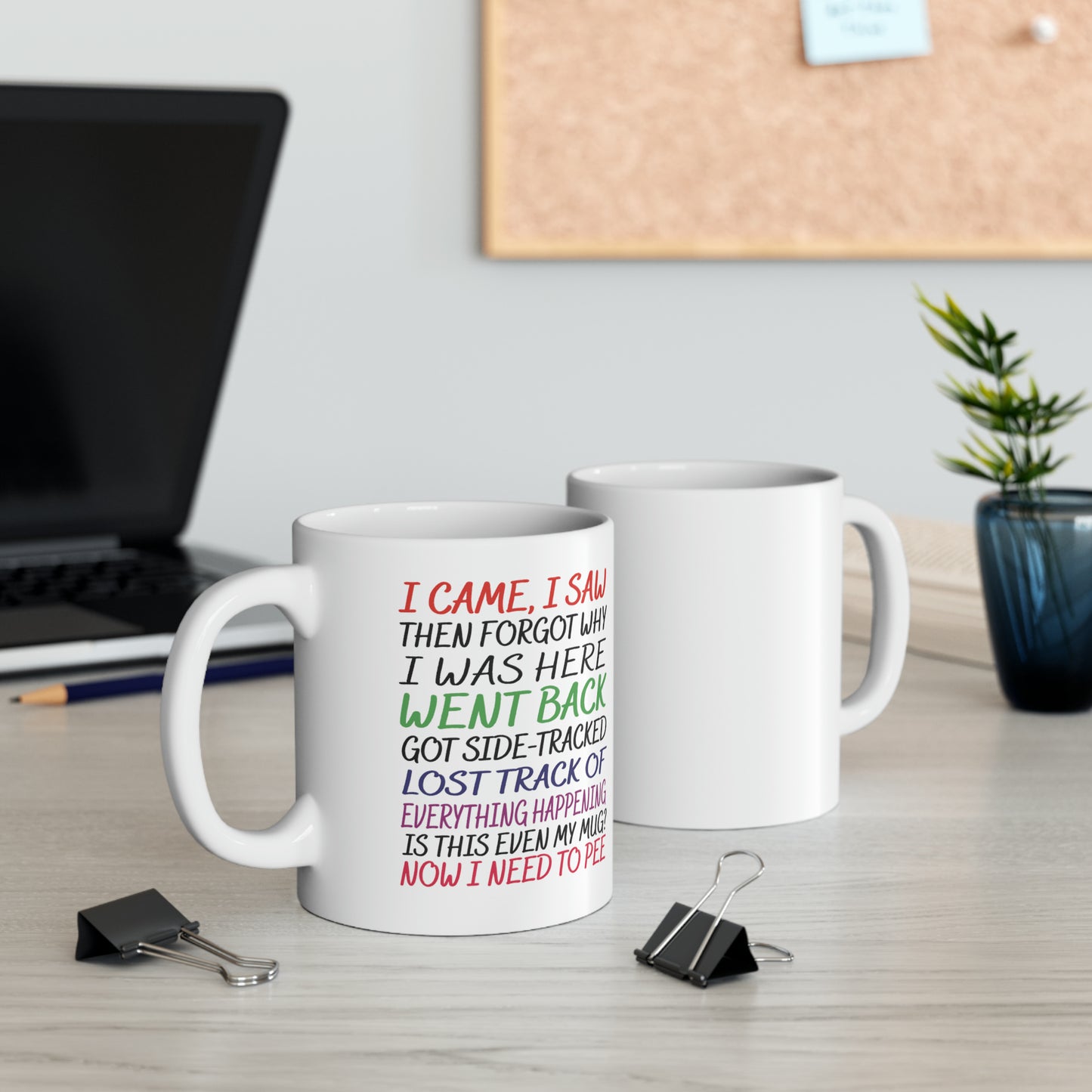 Funny Mother's Day Mug - I Came, I Saw